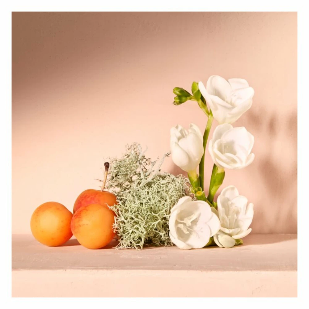 Chloé Chloe Nomade Eau De Parfum Spray 6 Chloé Chloe Nomade Eau De Parfum Spray - Afbeelding 4